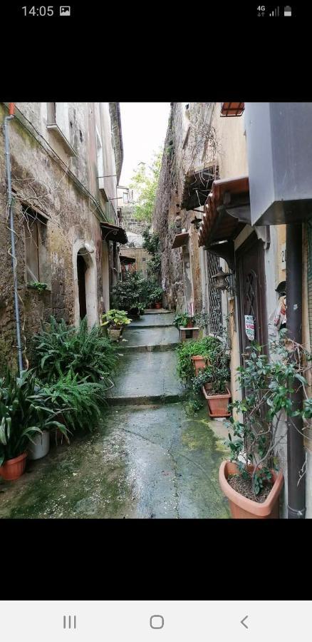 דירות SantʼAgata deʼ Goti La Casa Nel Borgo מראה חיצוני תמונה